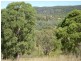 723 Silvermines Road “GLENCOE”, Inverell NSW 2360
