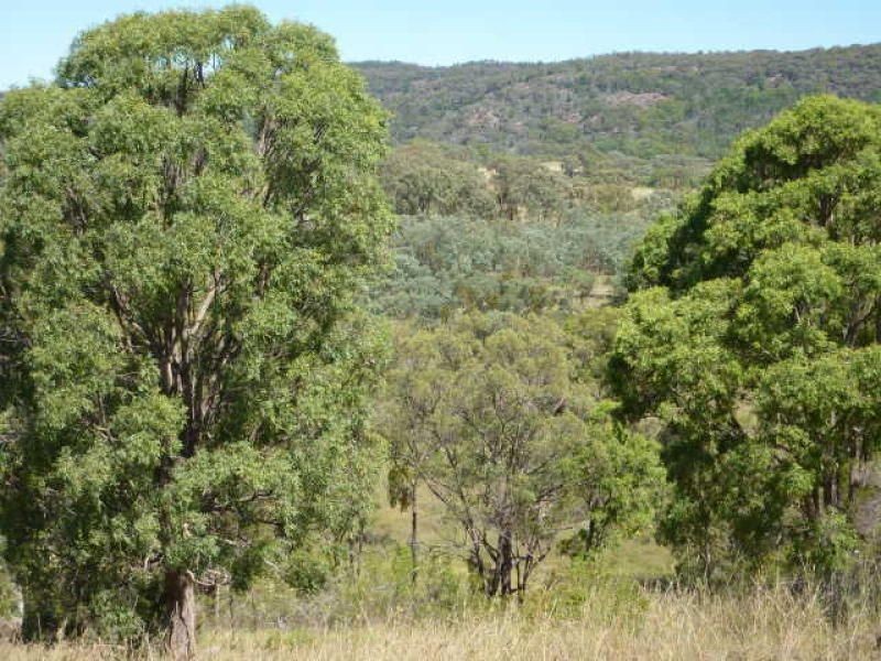 723 Silvermines Road “GLENCOE”, Inverell NSW 2360