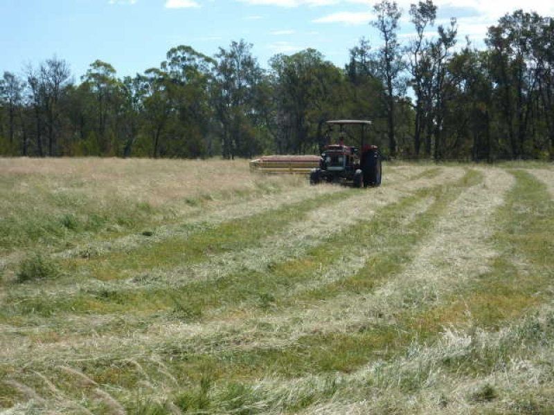 723 Silvermines Road “GLENCOE”, Inverell NSW 2360