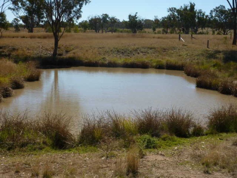. Harwood, Inverell NSW 2360