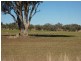 . Harwood, Inverell NSW 2360