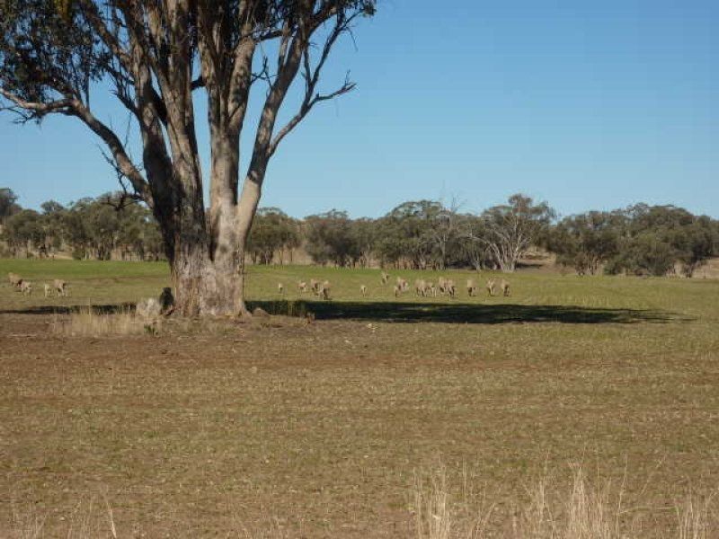 . Harwood, Inverell NSW 2360
