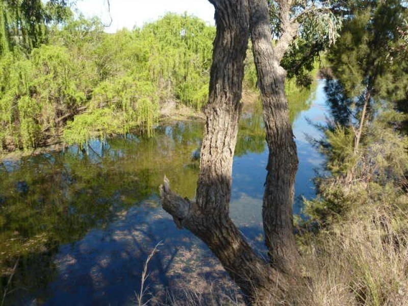 . Karoola, Inverell NSW 2360