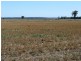 . Corio, Inverell NSW 2360