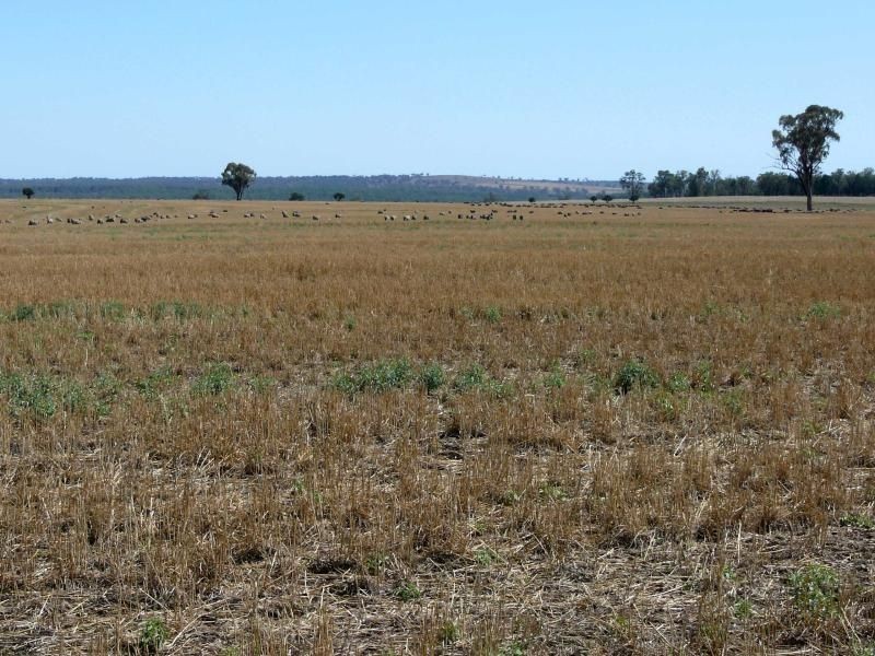 . Corio, Inverell NSW 2360