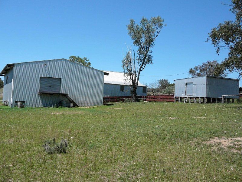 . Corio, Inverell NSW 2360