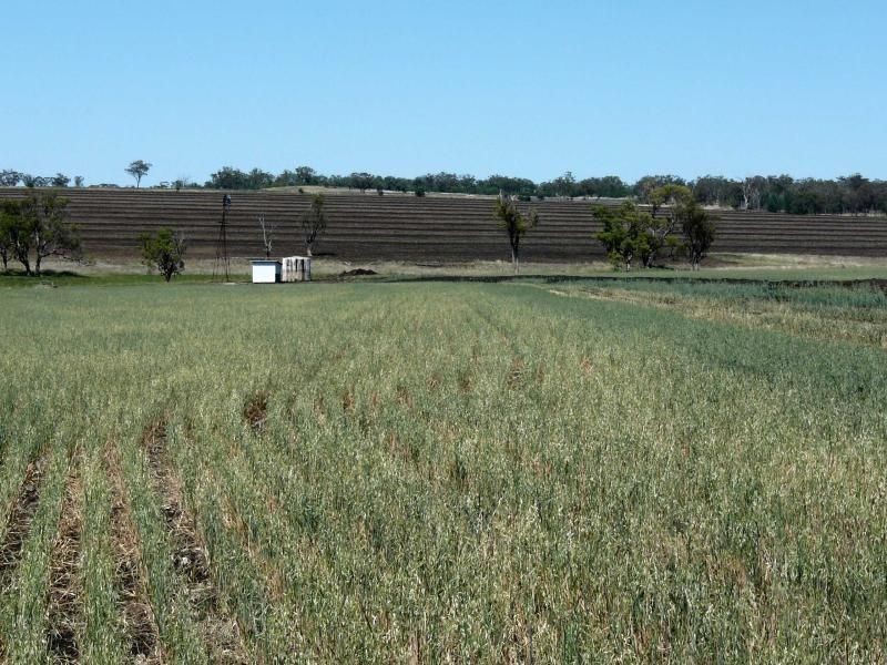 . Corio, Inverell NSW 2360