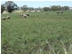 . Corio, Inverell NSW 2360