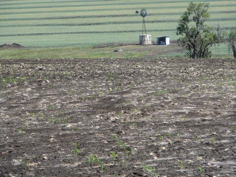 . Corio, Inverell NSW 2360