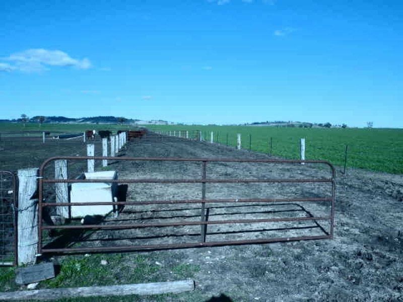 ** Allawa, Inverell NSW 2360