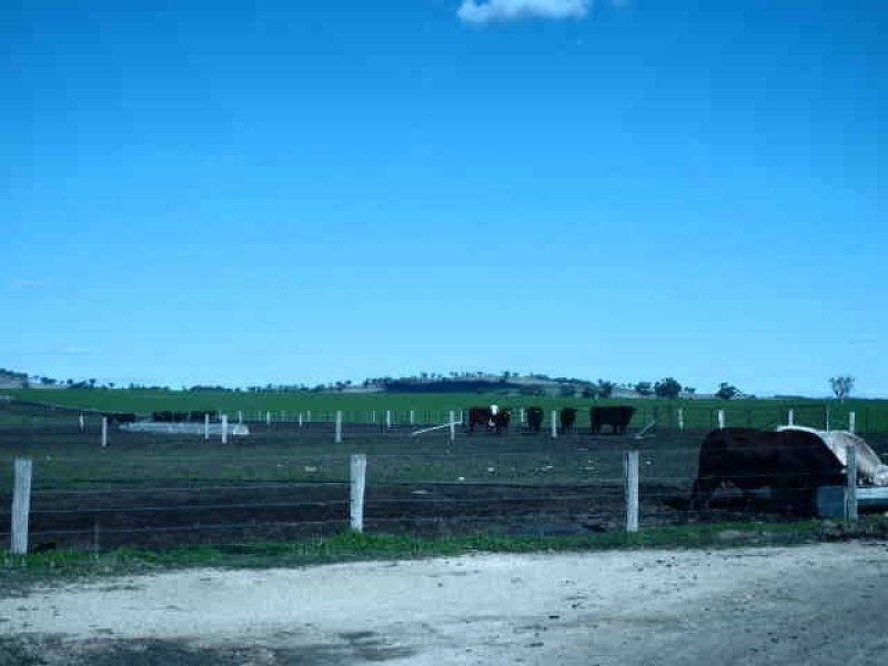 ** Allawa, Inverell NSW 2360