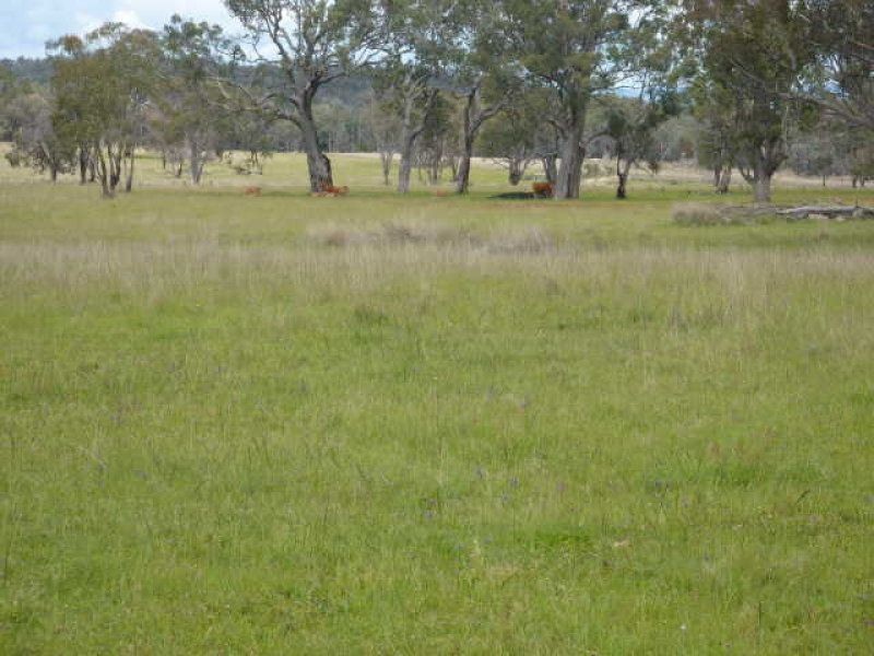 ” WILDBOULDERS”, Inverell NSW 2360