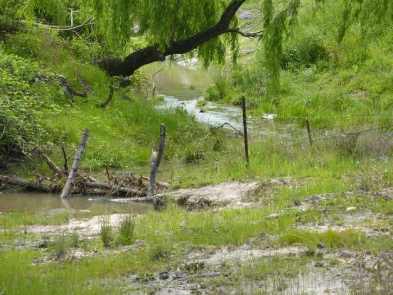 ” WILDBOULDERS”, Inverell NSW 2360