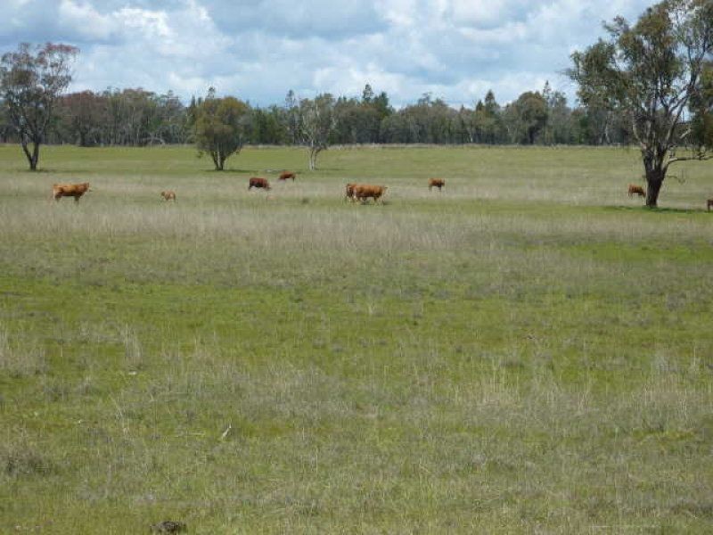 ” WILDBOULDERS”, Inverell NSW 2360