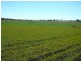 ” PONDEROSSA”, Inverell NSW 2360