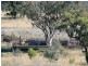 ” PONDEROSSA”, Inverell NSW 2360