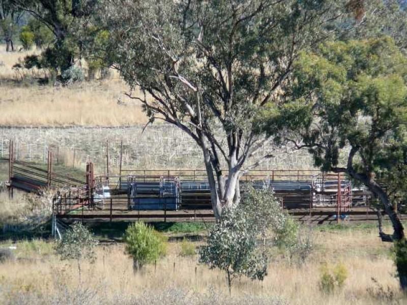 ” PONDEROSSA”, Inverell NSW 2360