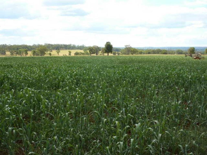 2200 Ashford Road “BERRILEE”, Inverell NSW 2360