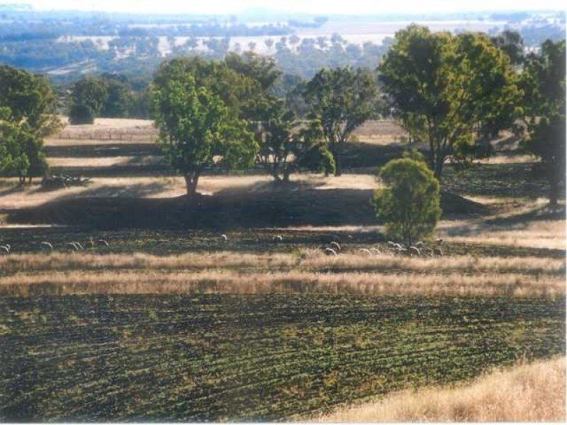 2200 Ashford Road “BERRILEE”, Inverell NSW 2360