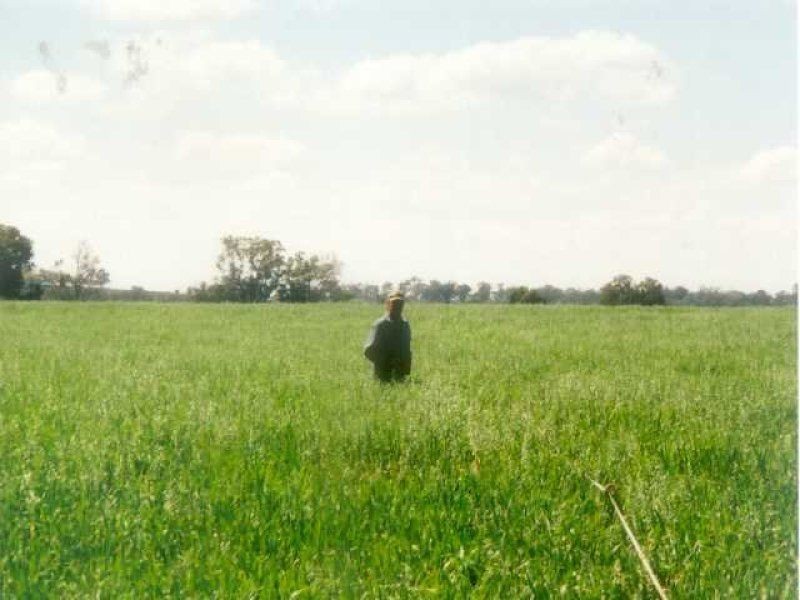 2200 Ashford Road “BERRILEE”, Inverell NSW 2360