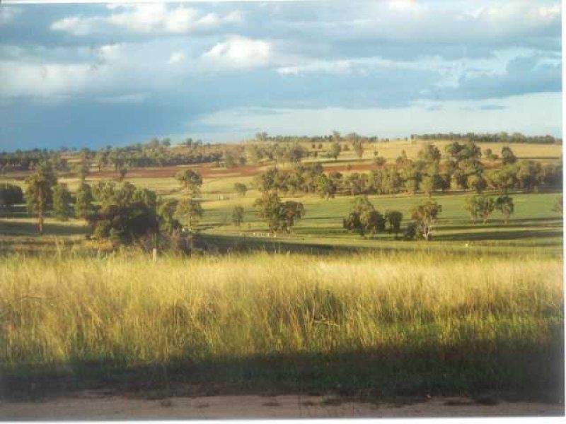 2200 Ashford Road “BERRILEE”, Inverell NSW 2360