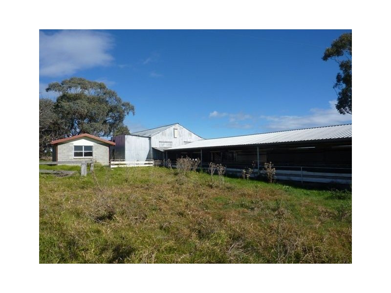 . Emu Hill, Inverell NSW 2360