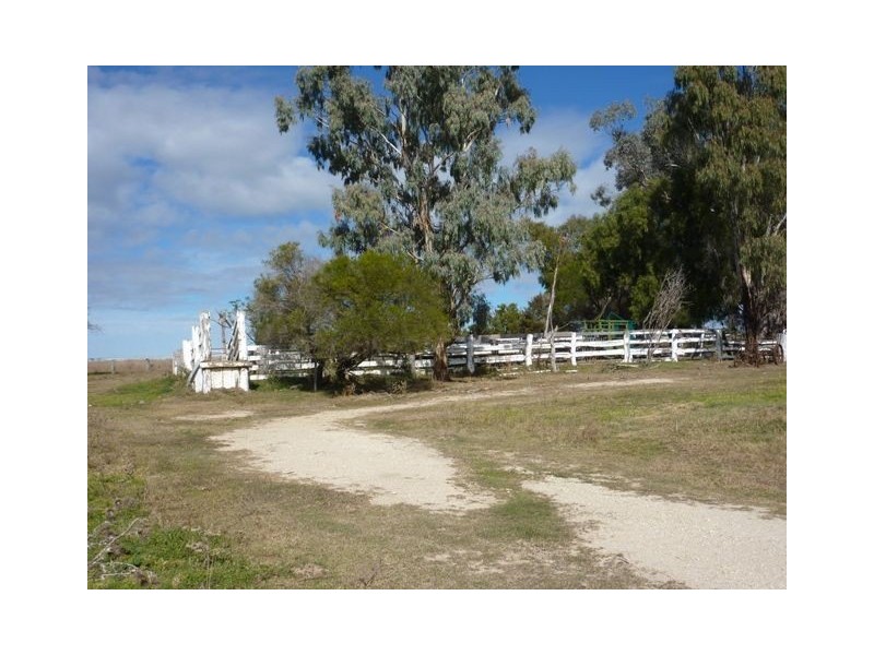 . Emu Hill, Inverell NSW 2360