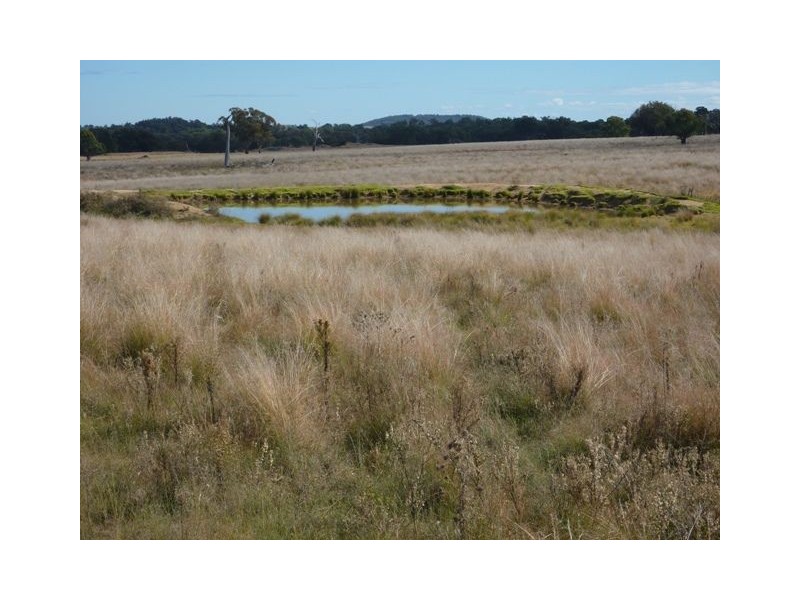 . Emu Hill, Inverell NSW 2360