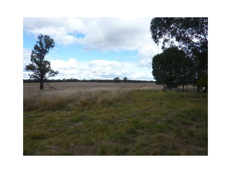 ” FLEMINGTON”, Inverell NSW 2360