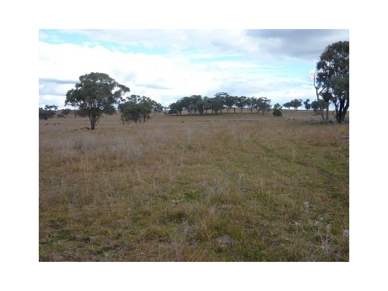 ” FLEMINGTON”, Inverell NSW 2360