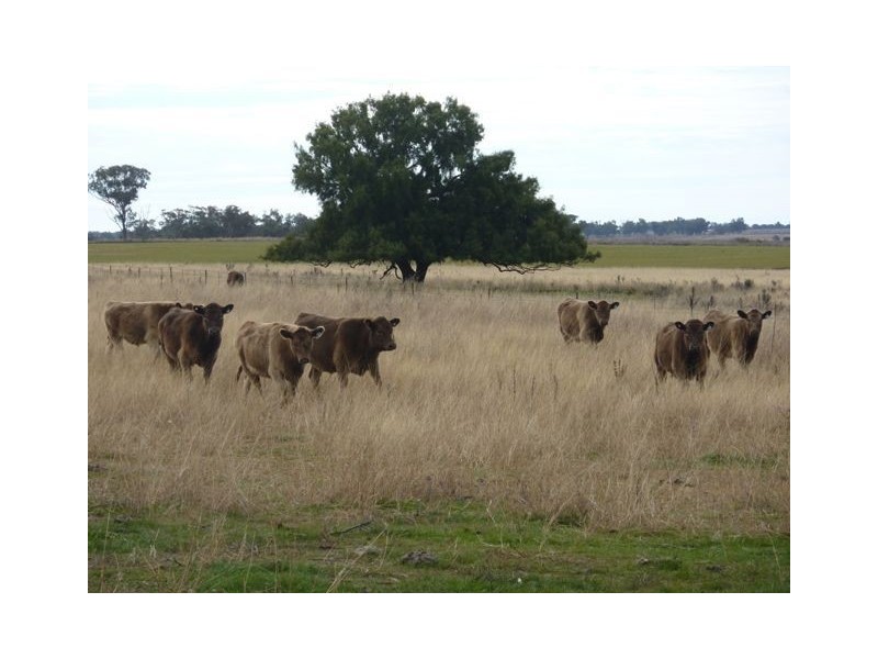 ** DELMOOR**, Inverell NSW 2360