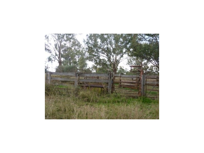 ** DELMOOR**, Inverell NSW 2360