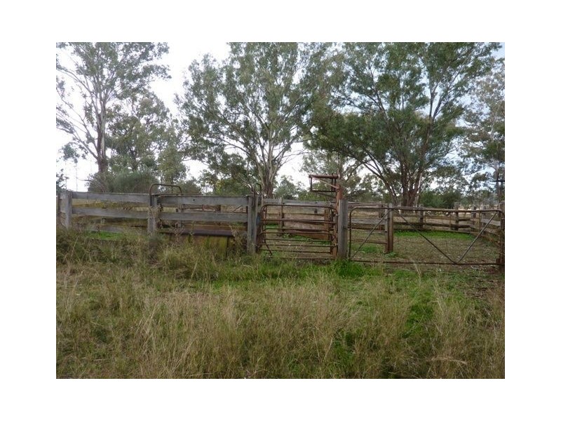 ** DELMOOR**, Inverell NSW 2360