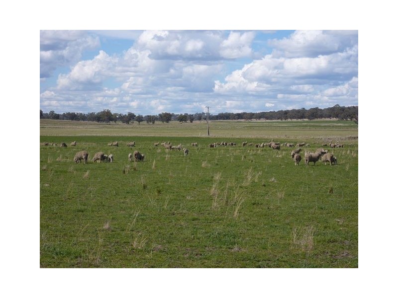 844 Arrawatta Road “DUNALPINE”, Inverell NSW 2360