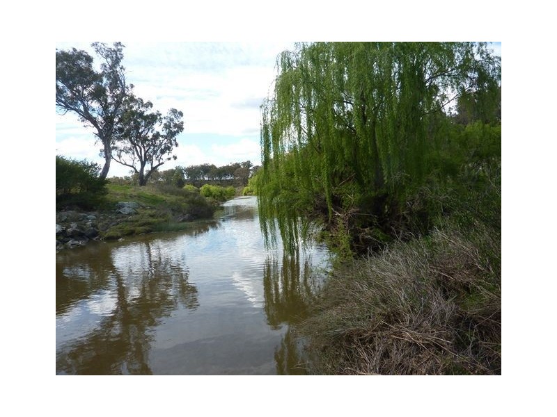 844 Arrawatta Road “DUNALPINE”, Inverell NSW 2360