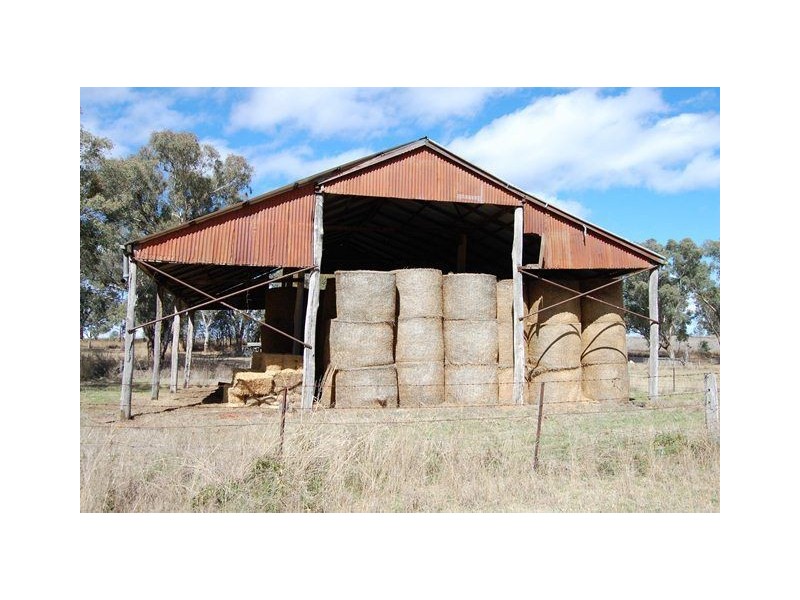 844 Arrawatta Road “DUNALPINE”, Inverell NSW 2360