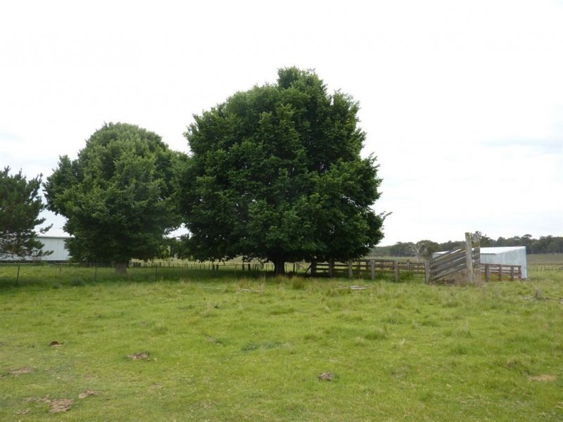 ” NARIEL”, Guyra NSW 2365