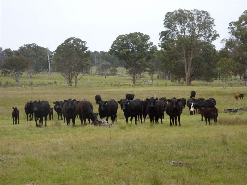 ” NARIEL”, Guyra NSW 2365