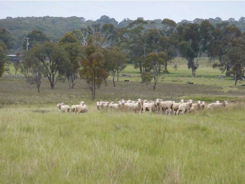 ” NARIEL”, Guyra NSW 2365