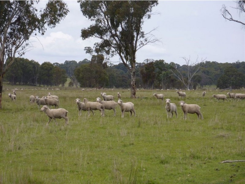 ” NARIEL”, Guyra NSW 2365