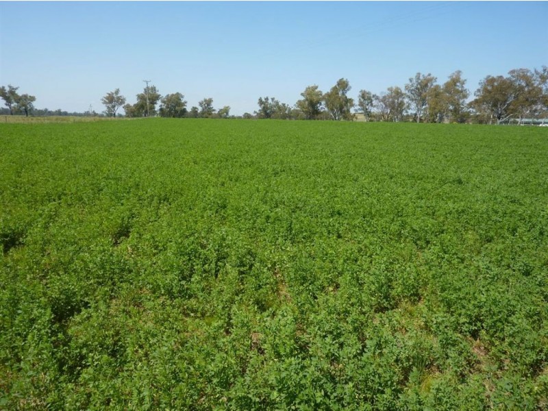 ” WARRIMBA”, Inverell NSW 2360