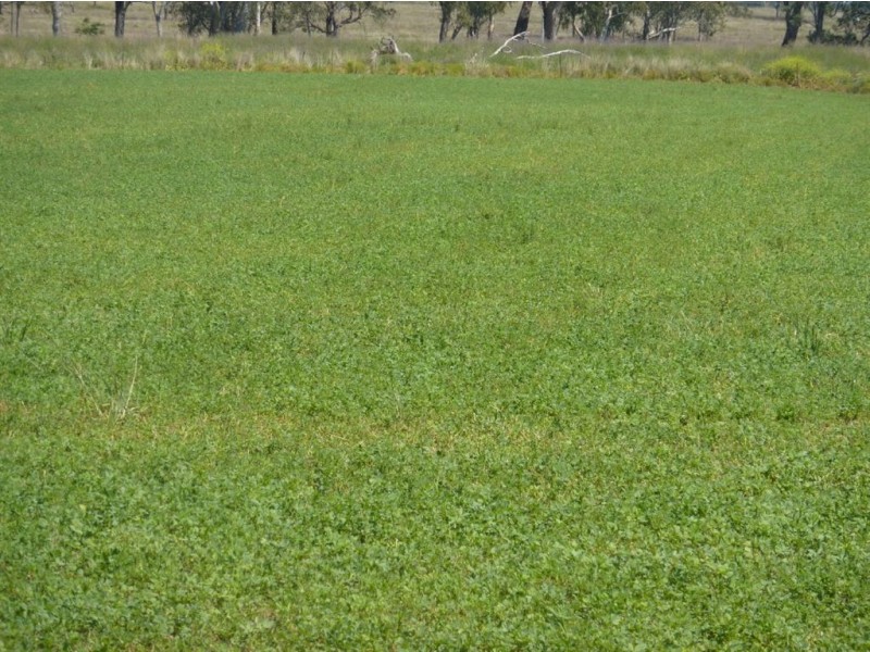 ” WARRIMBA”, Inverell NSW 2360