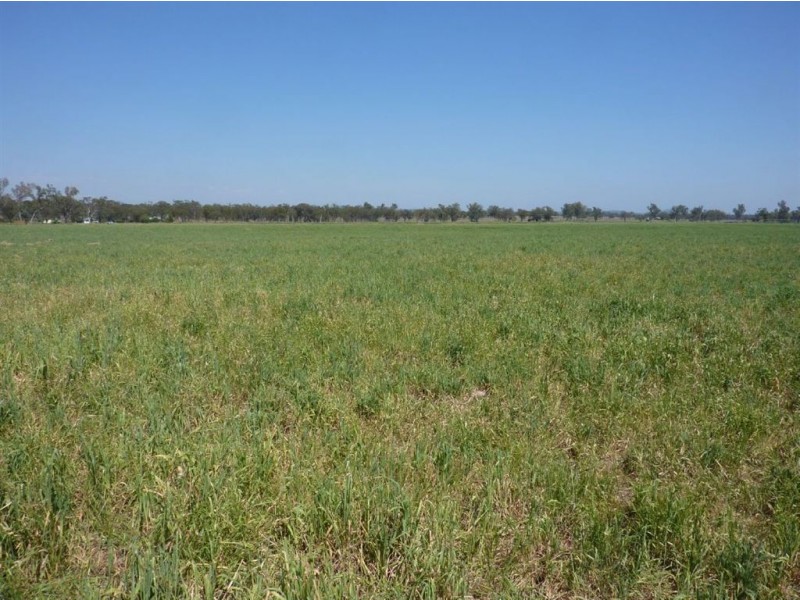 ” WARRIMBA”, Inverell NSW 2360