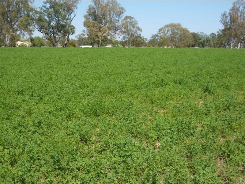 ” WARRIMBA”, Inverell NSW 2360