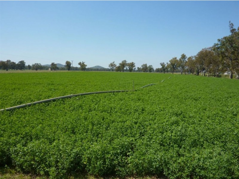 ” WARRIMBA”, Inverell NSW 2360