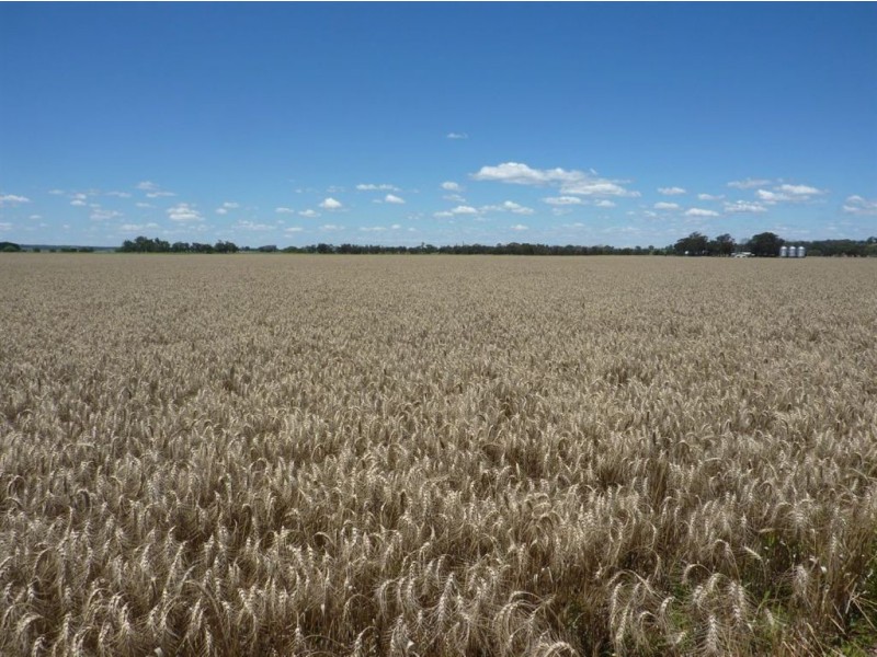 ” LINDALE”, Inverell NSW 2360