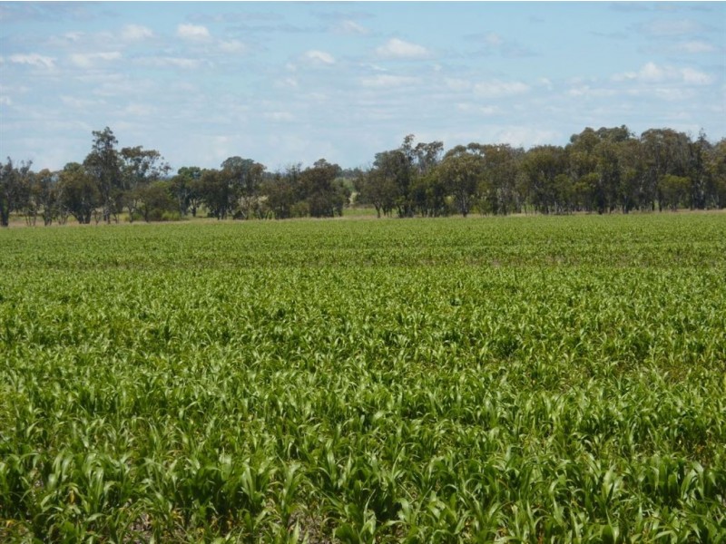 ” LINDALE”, Inverell NSW 2360