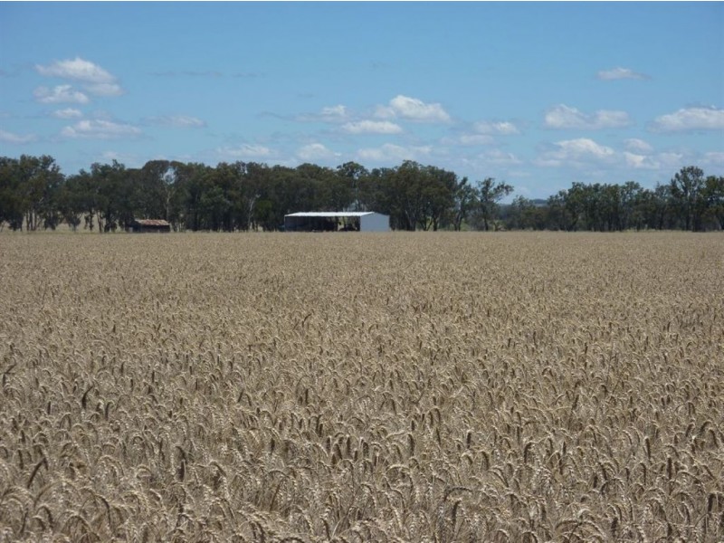 ” LINDALE”, Inverell NSW 2360