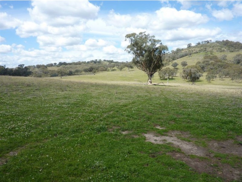 ” TELARAH”, Inverell NSW 2360