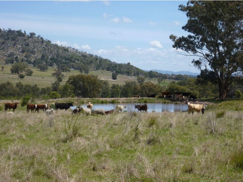 ” TELARAH”, Inverell NSW 2360